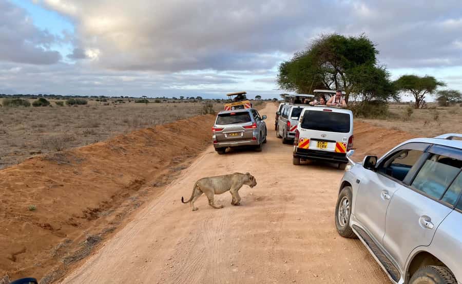 Mombasa: Tsavo East Ngutuni Sanctuary Overnight Safari - Quick take: what makes this safari worth considering