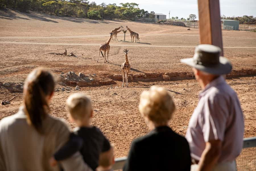 Monarto Safari Park: General Admission Tickets - Riding the Zu-loop bus