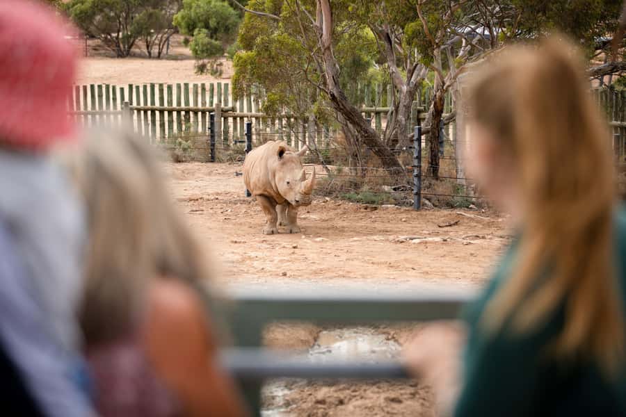Monarto Safari Park: General Admission Tickets - Who should book Monarto Safari Park?