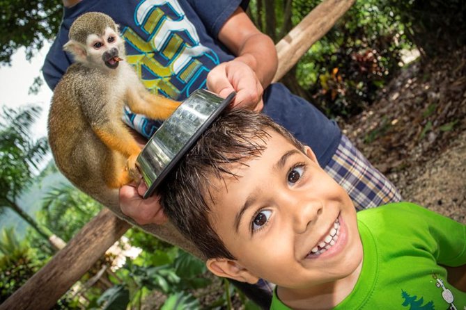 Monkeyland and Plantation Safari Tour from Punta Cana - From Punta Cana resorts to the Dominican countryside