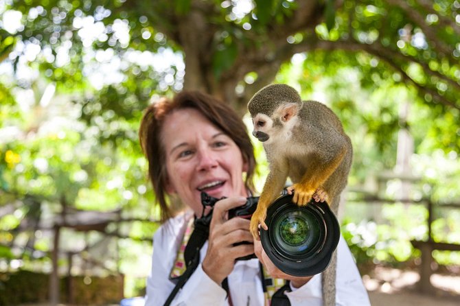 Monkeyland and Plantation Safari Tour from Punta Cana - A short botanical garden walk