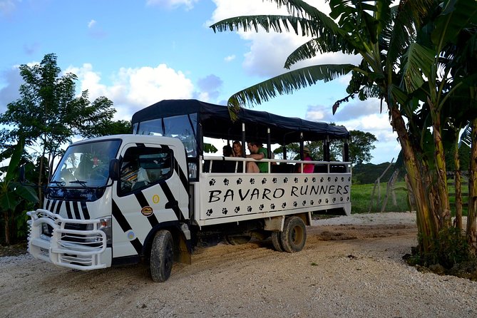 Monkeyland and Plantation Safari Tour from Punta Cana - Who will enjoy this most?