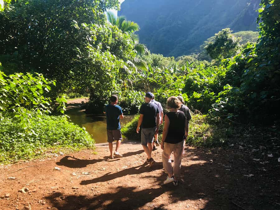 Moorea:4X4 safari excursion between land and sea with lunch - Fruit Tasting Depends on the Factory Schedule