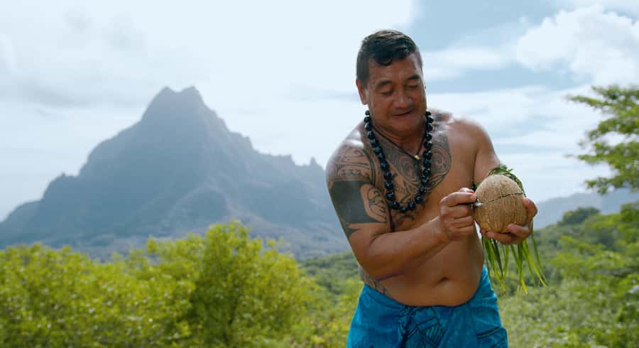 Moorea: Half-Day Open-Air 4WD Safari with Hotel Transfers - Belvedere Lookout and the island’s signature panorama