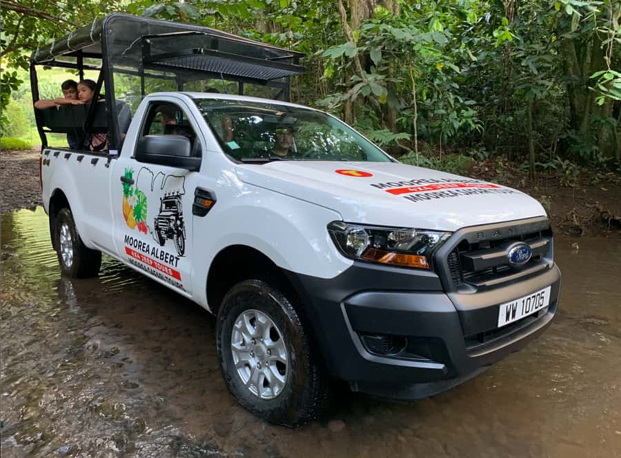 Moorea: Half-Day Open-Air 4WD Safari with Hotel Transfers - Freshwater eels and the more unusual side of Moorea