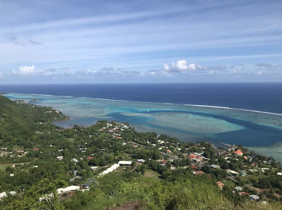Moorea: Half-Day Open-Air 4WD Safari with Hotel Transfers - The final visitor-center stop and the return