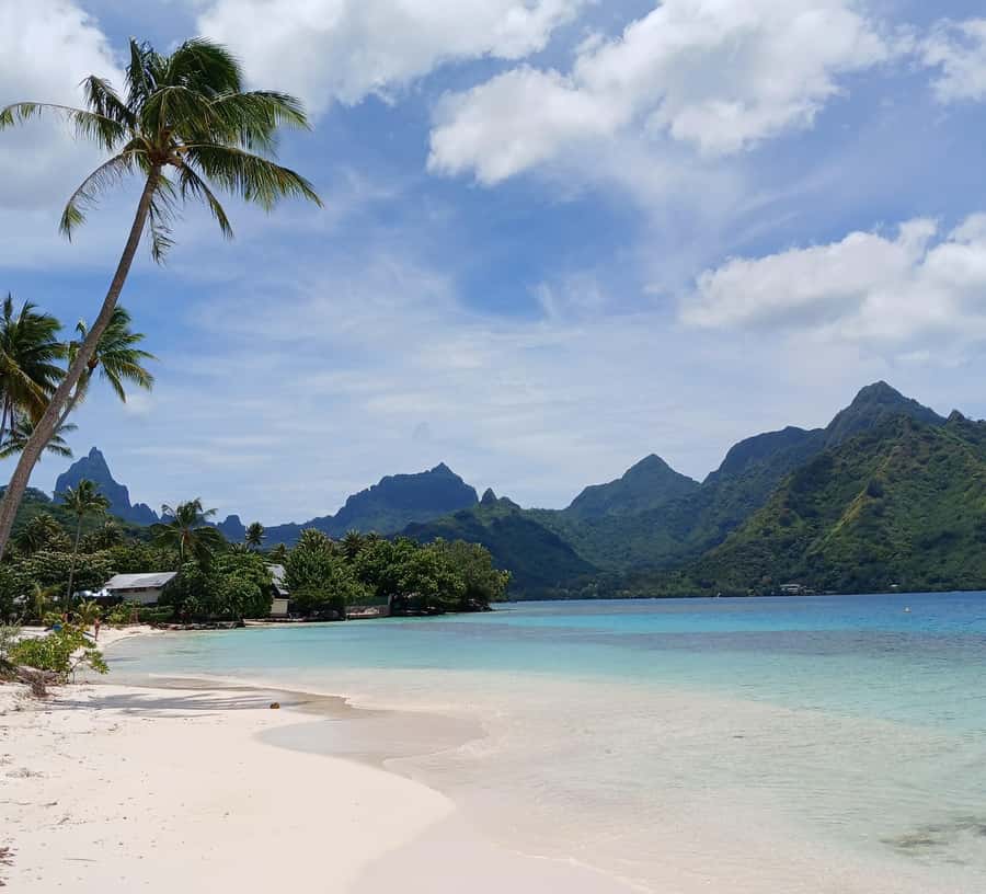 Moorea : Safari Nature and Culture Tour with local guide - Opunohu’s archaeological site is the heart of the tour