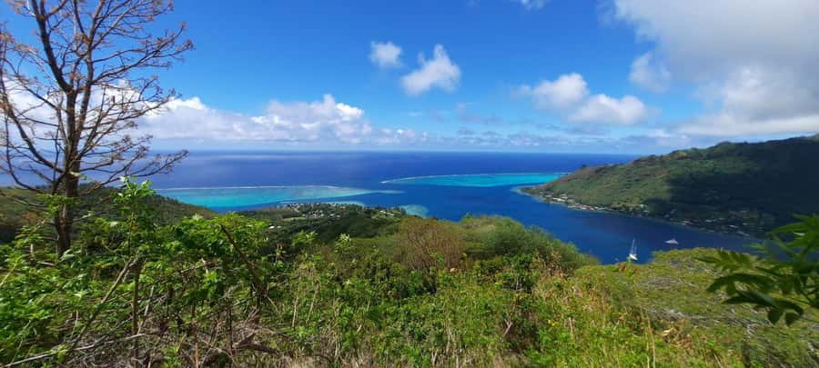 Moorea : Safari Nature and Culture Tour with local guide - Toatea Lookout gives you the first wide view