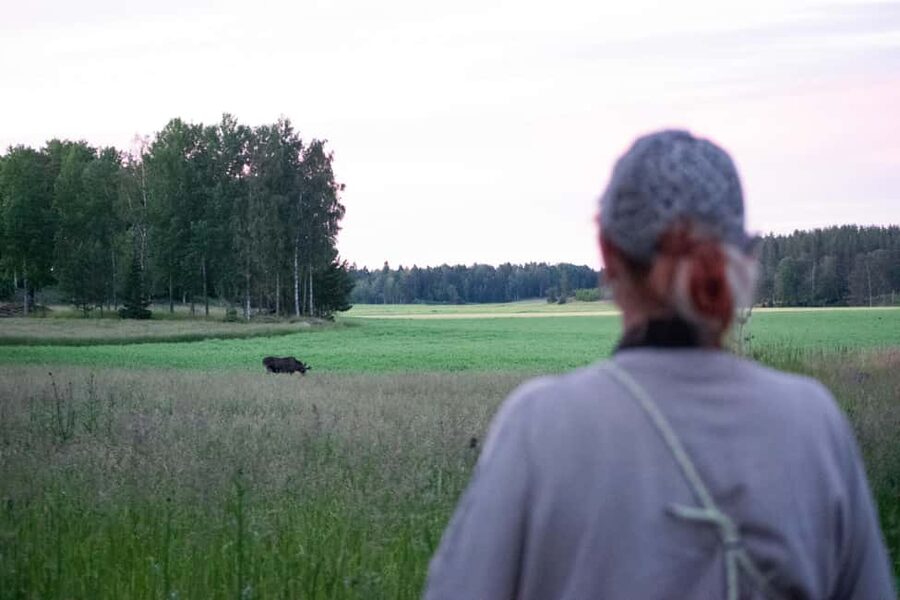 Moose safari with campfire dinner from Helsinki - Who will enjoy this most?