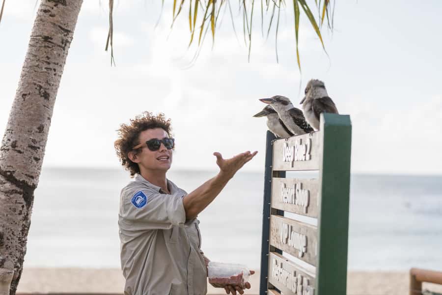 Moreton Island: Desert Safari Tour & Dolphin Viewing - Sand tobogganing for beginners and thrill-seekers