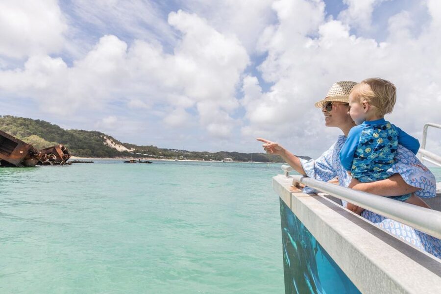 Moreton Island: Tangalooma Desert Safari and Dolphin Feeding - The evening dolphin encounter