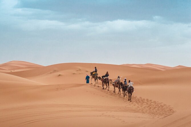 Morning Desert Safari From Abu Dhabi -Camel Ride,Sand Boarding,Camel Farm Visit - Price, group size, and the value question
