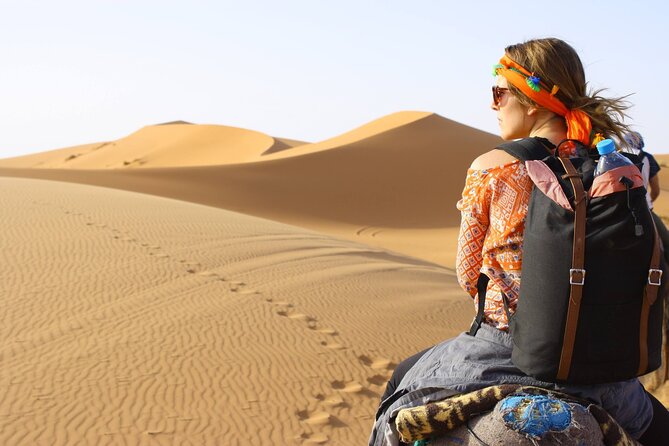 Morning Desert Safari From Abu Dhabi -Camel Ride,Sand Boarding,Camel Farm Visit - What the 4x4 dune drive is really like
