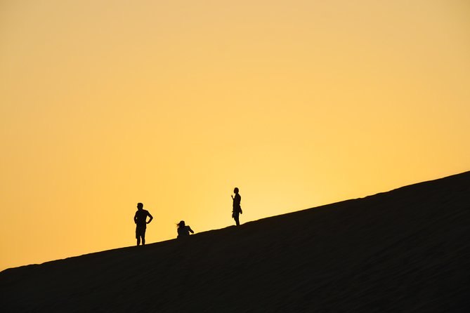 Morning Desert Safari with Camel Ride & Sand Skiing Private Tours - The camel farm visit and short ride