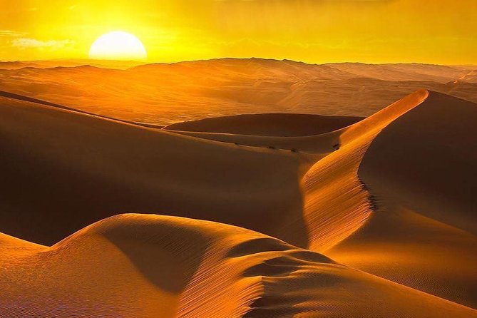 Morning Desert Safari with Camel Ride & Sand Skiing Private Tours - What dune bashing feels like