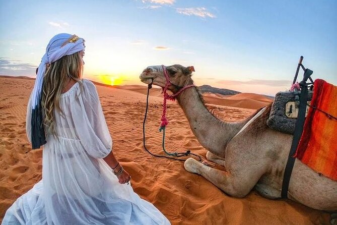 Morning Desert Safari with Quad Bike, Camel Ride & Sandboarding - What the $59 morning safari really gives you