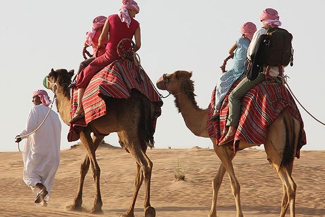 Morning Desert Safari with Quad Bike, Camel Ride & Sandboarding - The camel ride: brief, traditional, and not private
