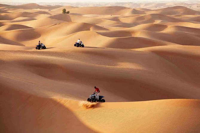 Morning Desert Safari with Quad Bike Tour Abu Dhabi - Guides can make or break the morning