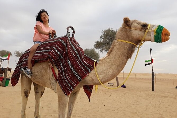 Morning Dubai desert safari - camel rides, quad bikes, dune buggies,dune bashing - Why the morning timing works well