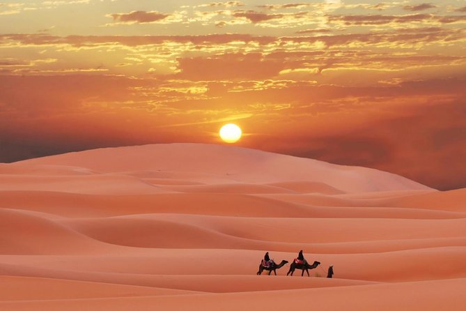 Morning Red Dunes Safari: Camel Ride & Sandboarding Adventure - Sandboarding on the red slopes