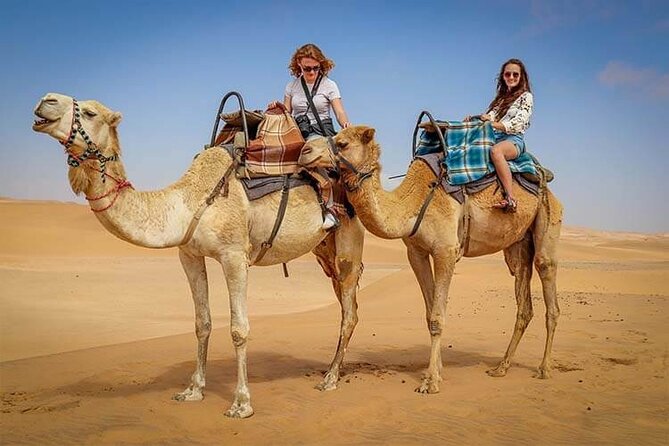 Morning Thrill: Exciting Desert Safari Adventure Camel Ride Dubai - A fast morning route into Dubai’s red dunes