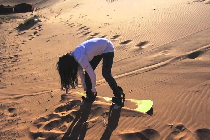 Morning Thrill: Exciting Desert Safari Adventure Camel Ride Dubai - Stop 3: A traditional camel ride