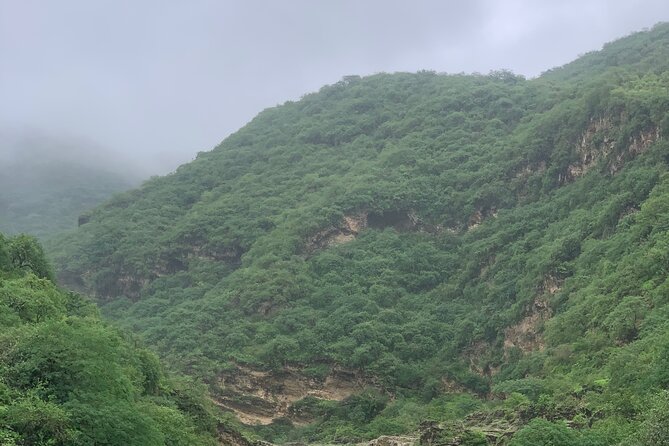 Mountain Safari Private Tour - Hasheer Agher and its rare baobab trees