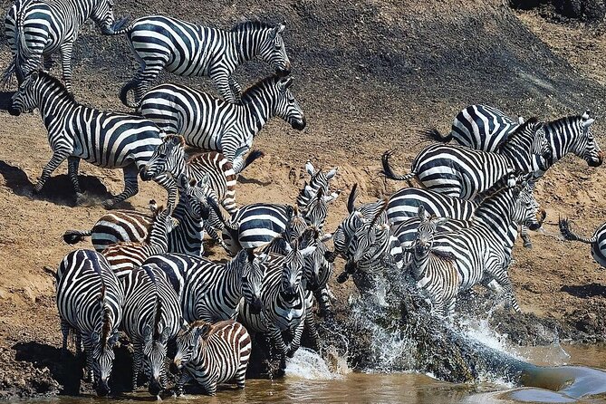 Multi-Day Camping Safari Experience in Arusha - Day 3: A full day in the calving grounds