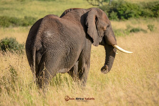Multi Day Masai Mara Lake Nakuru Park Hellsgate Park Tour - Day four: rhinos, birds, and Lake Nakuru