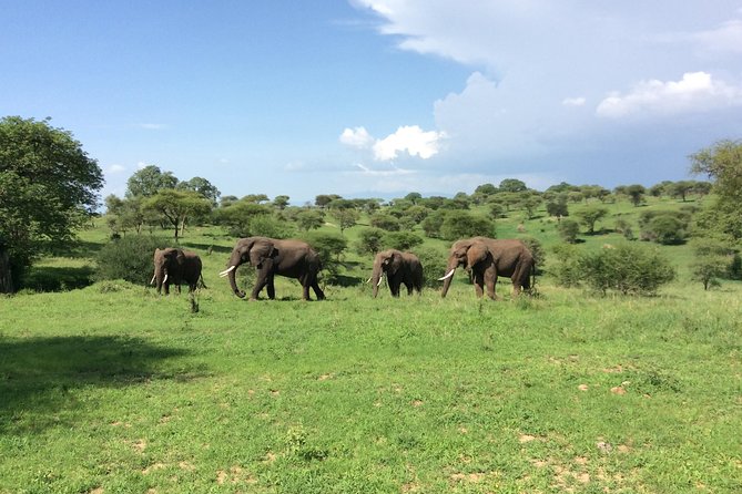 Multi-Day Tanzania Odssey Safari from Arusha - What the $4,164.11 price includes