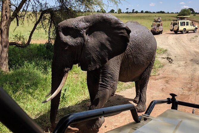 Multi-Day Tanzania Odssey Safari from Arusha - Day 1: A gentle arrival at Mount Meru Hotel