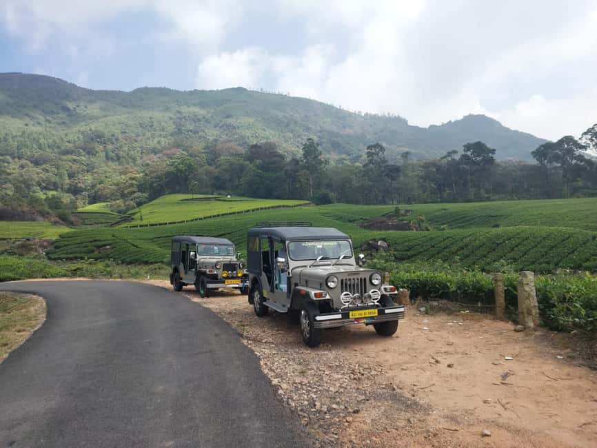 Munnar: Anakulam Jeep Safari with Waterfall and Elephant - The Anakulam road is the real adventure