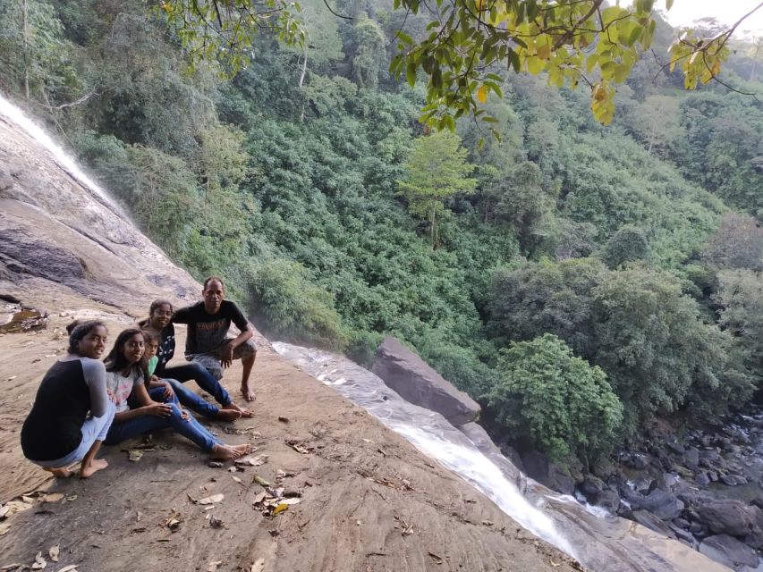 Munnar: Tea Garden and Elephant Safari Trip by 4x4 - From Letchmi tea rows to Anakulam forest tracks