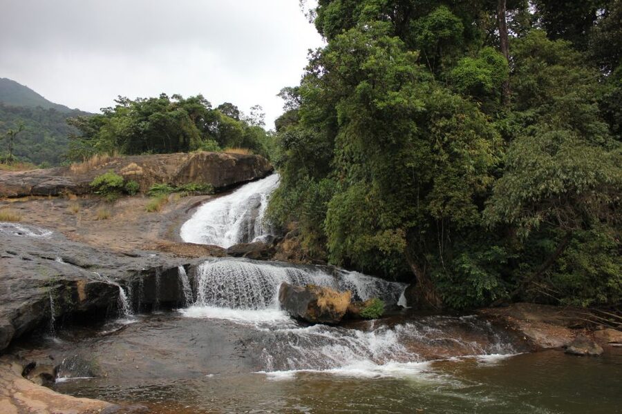 Munnar: Tea Garden and Elephant Safari Trip by 4x4 - Letchmi Hills Plantation gives the day its tea-country start