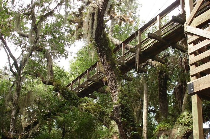 Myakka State Park E-bike Safari - The guides make the ride work