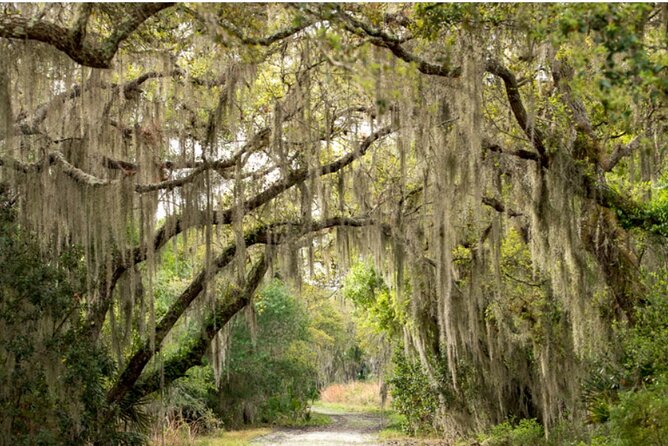 Myakka State Park E-bike Safari - Meeting at Myakka River State Park at 10 a.m.