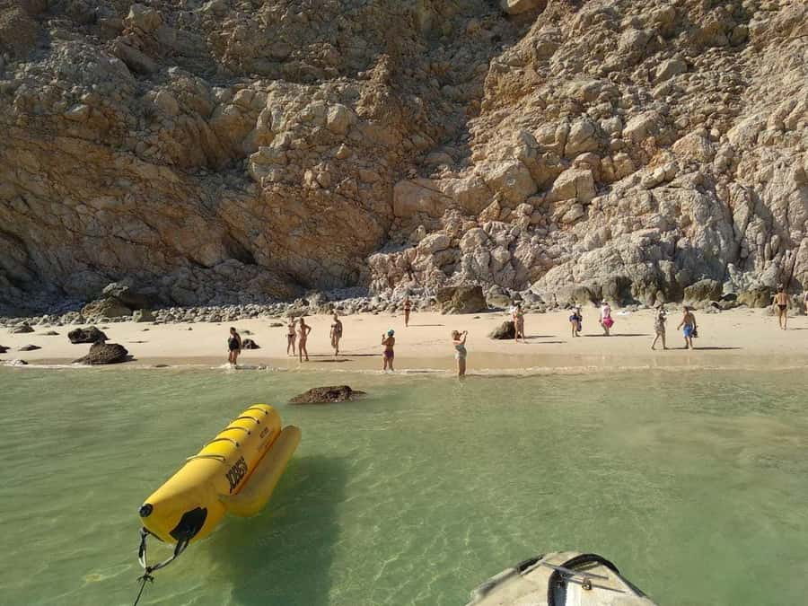Mystic Musandam Full-Day Sea Safari - Key points before you book
