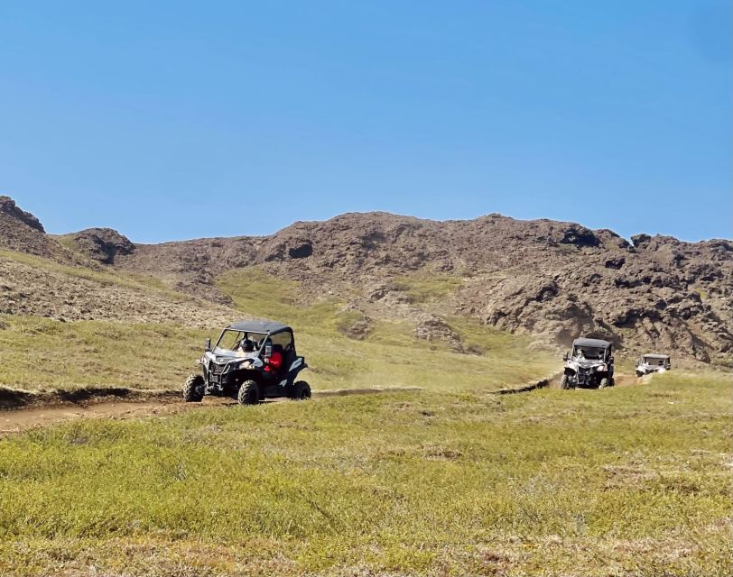 Mývatn: Lake Mývatn ATV Guided Safari Experience - What the recent feedback tells you about the ride