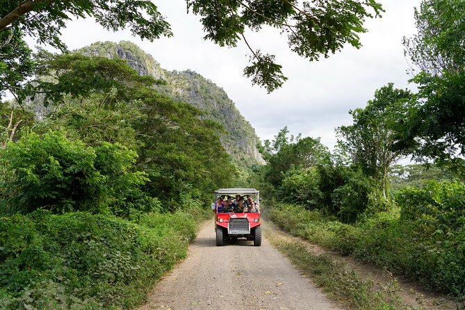 Naihehe Cave Safari in Sigatoka with BBQ Lunch - What the $126.53 price includes