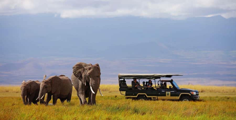 Nairobi: 4-Day Maasai Mara & Lake Nakuru Camping Safari - Key points to know before booking