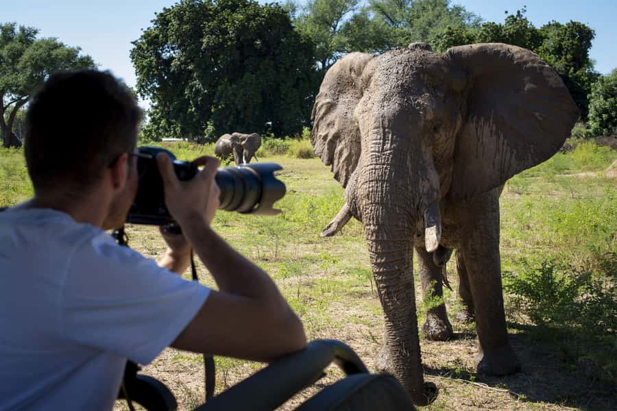 Nairobi: 4-Day Maasai Mara & Lake Nakuru Camping Safari - Day two: a full day at the Mara River