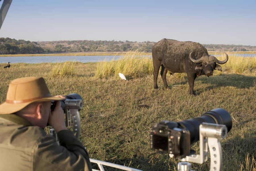Nairobi: 4-Day Maasai Mara & Lake Nakuru Camping Safari - Day four: rhinos and flamingos at Lake Nakuru