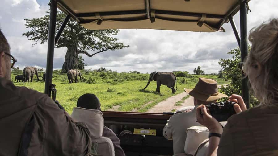 Nairobi: 4-Day Maasai Mara & Lake Nakuru Camping Safari - The real price: $475 is only the starting point