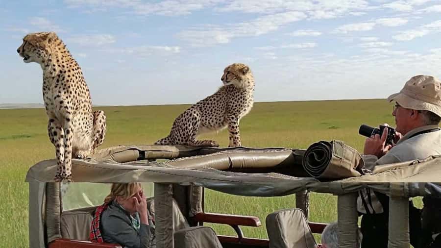 Nairobi: 4-Day Maasai Mara & Lake Nakuru Camping Safari - Who will enjoy this safari most