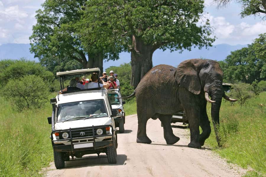 Nairobi: 4-Day Maasai Mara & Lake Nakuru Camping Safari - Day one: the Great Rift Valley to Maasai Mara