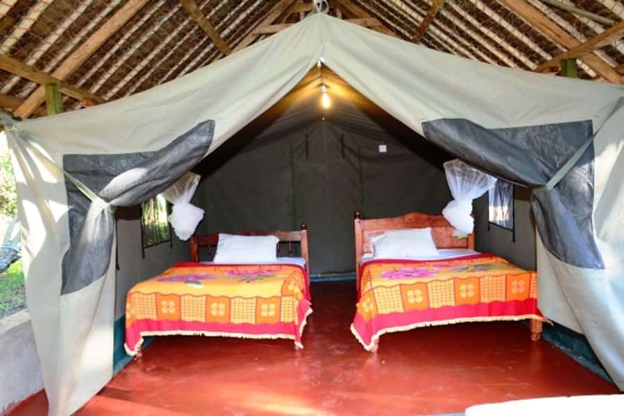 Nairobi: 4 Day Masai Mara and Lake Nakuru Camping Safari - The optional Maasai village visit