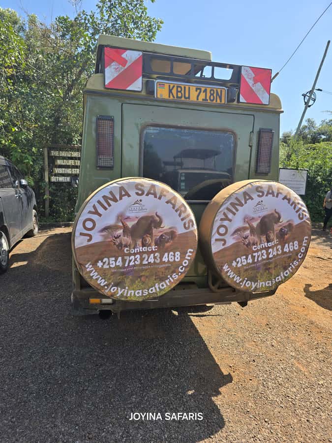 Nairobi: 4 Days Masai Mara & Lake Nakuru 4WD Camping Safari - Day 2: A full day across Masai Mara