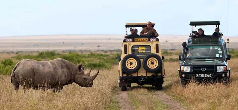 Nairobi: 4 Days Masai Mara & Lake Nakuru 4WD Camping Safari - The real cost: $380 is only the starting point