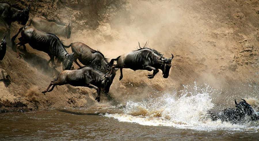 Nairobi: 4 Days Masai Mara & Lake Nakuru 4WD Camping Safari - Day 1: Nairobi to Masai Mara by way of the Rift Valley