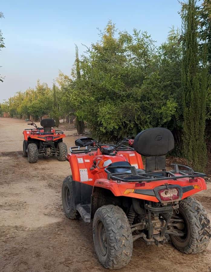 Nairobi: ATV/Quad Bike Wildlife Safari with Transfers & meal - Is $190 good value?